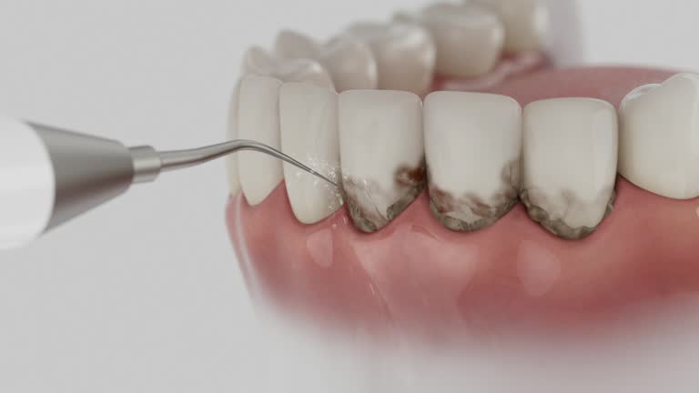 Reliable Dental contractor in Benson, NC by Dentist Open Now